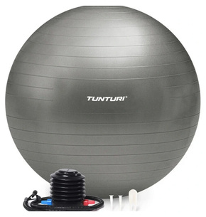 Gymball Tunturi 90 cm Argento Antipuntura