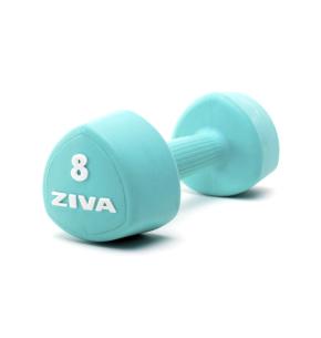 Manubri Ziva Chic Studio Turquoise (paio) (Peso: 8kg)