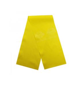Fascia elastica Theraband Gialla - 14,5 cm x 1,5 m