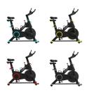 Indoor Cycling Bodytone Active 200