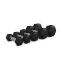 Set di Manubri Esagonali ION fitness
