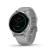 Garmin Vivoactive 4S (Colore: Grigio/Argento)
