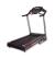 Tapis Roulant BH Pioneer R7